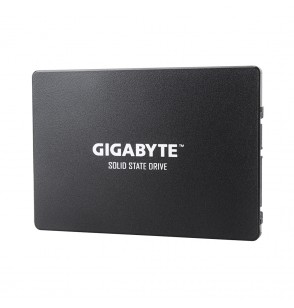 Твердотельный накопитель внутренний Gigabyte GSTFS31240GNTD