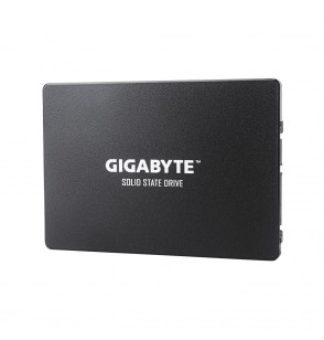 Твердотельный накопитель внутренний Gigabyte GSTFS31480GNTD
