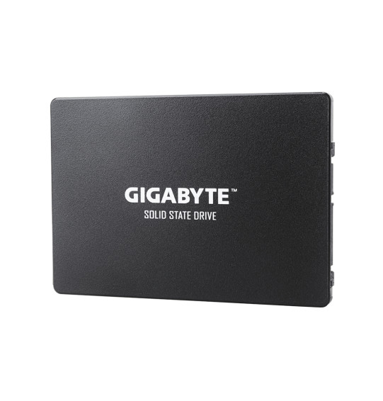 Твердотельный накопитель внутренний Gigabyte GSTFS31480GNTD