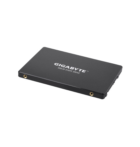 Твердотельный накопитель внутренний Gigabyte GSTFS31480GNTD