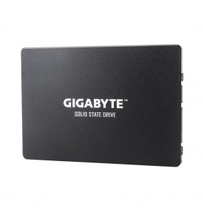 Твердотельный накопитель внутренний Gigabyte GSTFS31256GTND