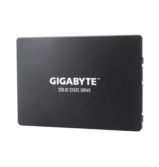 Твердотельный накопитель внутренний Gigabyte GSTFS31256GTND Твердотельный накопитель внутренний Gigabyte GSTFS31256GTND