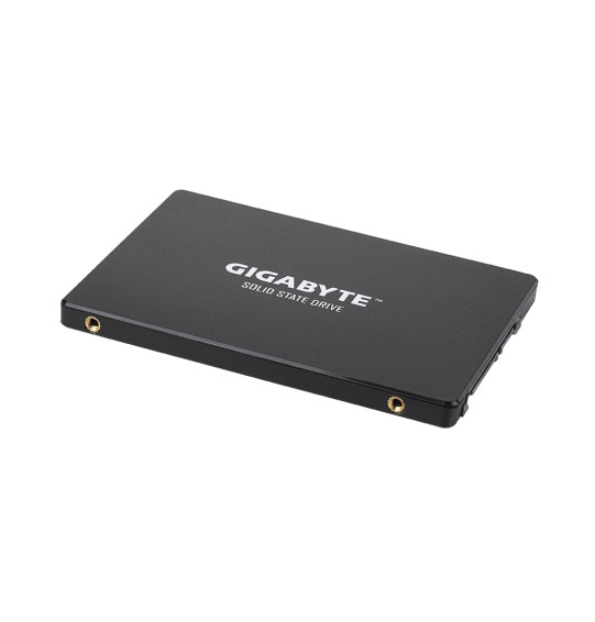 Твердотельный накопитель внутренний Gigabyte GSTFS31256GTND Твердотельный накопитель внутренний Gigabyte GSTFS31256GTND