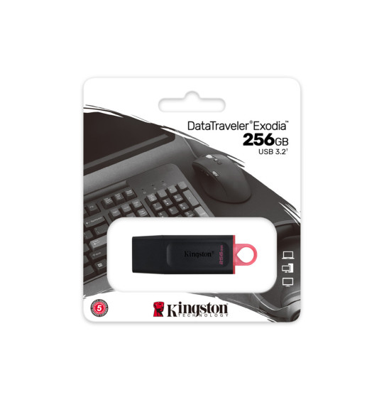 USB-накопитель Kingston DTX/256GB 256GB Чёрный USB-накопитель Kingston DTX/256GB 256GB Чёрный