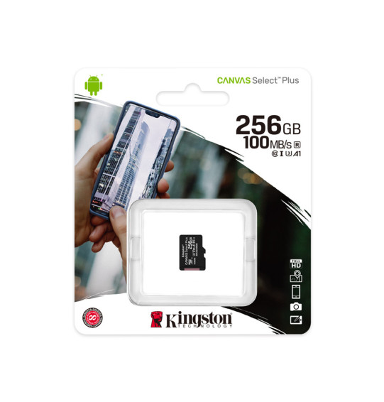 Карта памяти Kingston SDCS2/256GBSP Class 10 256GB без адаптера Карта памяти Kingston SDCS2/256GBSP Class 10 256GB без адаптера