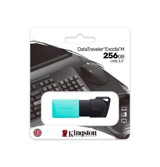 USB-накопитель Kingston DTXM/256GB 256GB Бирюзовый USB-накопитель Kingston DTXM/256GB 256GB Бирюзовый