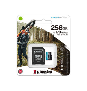 Карта памяти Kingston SDCG3/256GB A2 U3 V30 256GB + адаптер