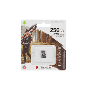 Карта памяти Kingston SDCG3/256GBSP A2 U3 V30 256GB без адаптера