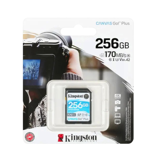 Карта памяти Kingston SDG3/256GB SD 256GB