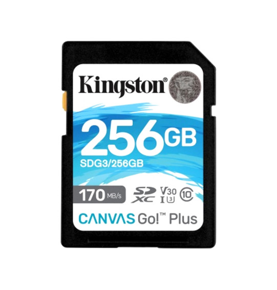 Карта памяти Kingston SDG3/256GB SD 256GB Карта памяти Kingston SDG3/256GB SD 256GB