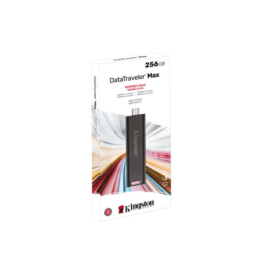 USB-накопитель Kingston DTMAX/256GB 256GB Черный USB-накопитель Kingston DTMAX/256GB 256GB Черный