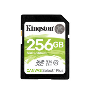 Карта памяти Kingston SDS2/256GB SD 256GB