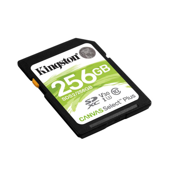 Карта памяти Kingston SDS2/256GB SD 256GB Карта памяти Kingston SDS2/256GB SD 256GB