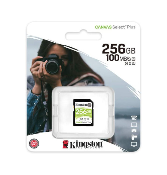 Карта памяти Kingston SDS2/256GB SD 256GB Карта памяти Kingston SDS2/256GB SD 256GB